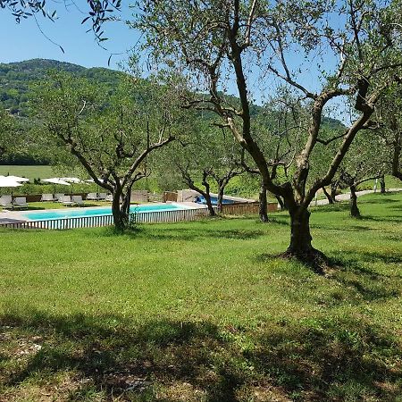 Вилла Il Vecchio Gelso - Agriturismo Rimini Montefiore Conca Экстерьер фото