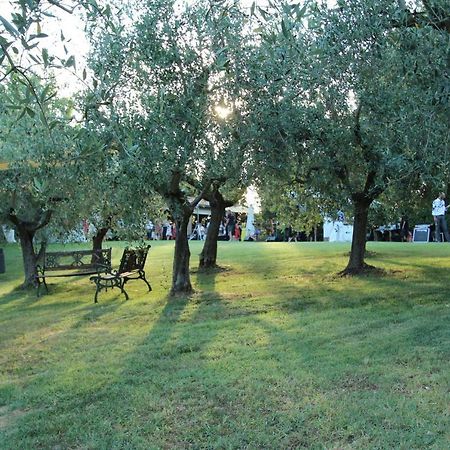 Вилла Il Vecchio Gelso - Agriturismo Rimini Montefiore Conca Экстерьер фото