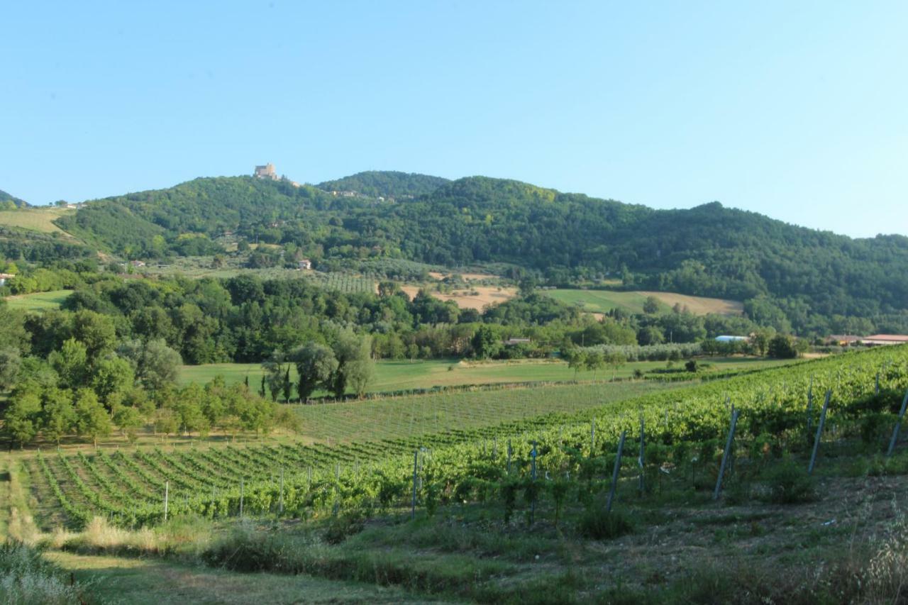 Вилла Il Vecchio Gelso - Agriturismo Rimini Montefiore Conca Экстерьер фото