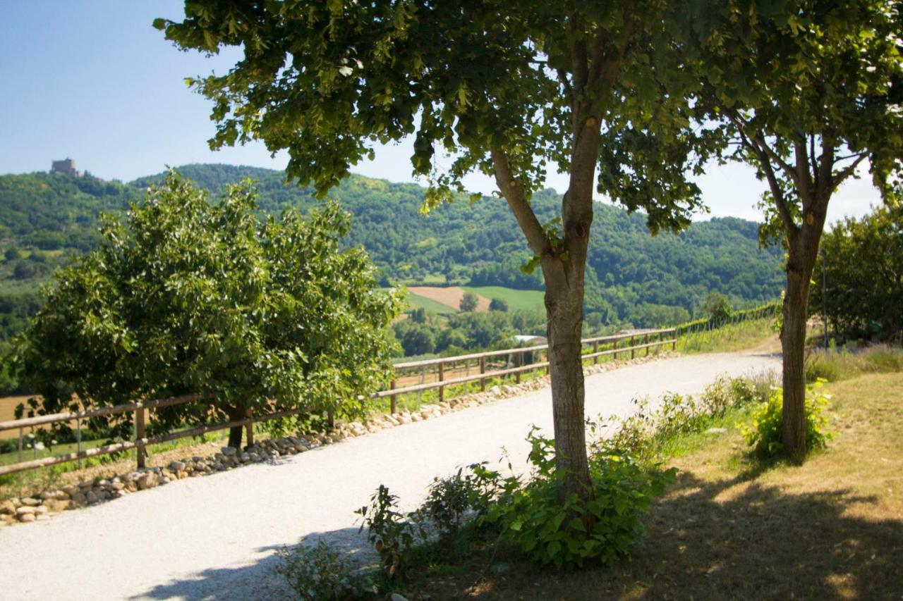 Вилла Il Vecchio Gelso - Agriturismo Rimini Montefiore Conca Экстерьер фото