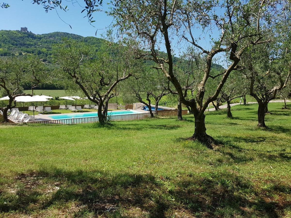 Вилла Il Vecchio Gelso - Agriturismo Rimini Montefiore Conca Экстерьер фото