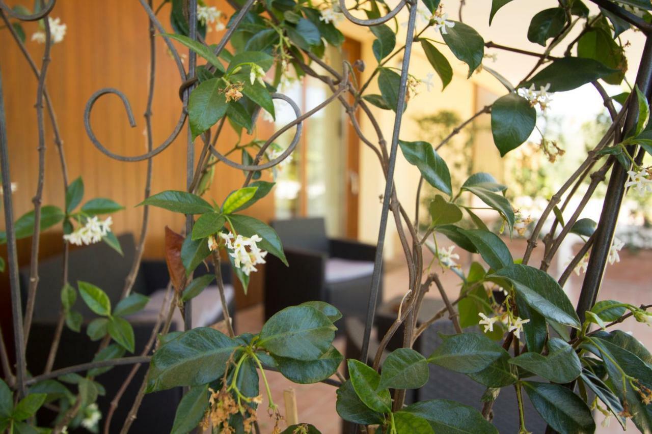 Вилла Il Vecchio Gelso - Agriturismo Rimini Montefiore Conca Экстерьер фото